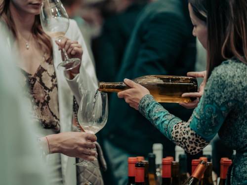 novost 50 vinarija na zemunskom salonu vina i umetnosti vinski magazin vino fino