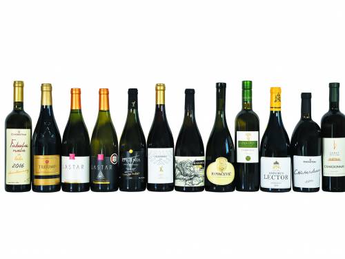 degustacija degustacija šardonea srpski vinari na pravom putu vinski magazin vino fino