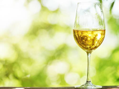 degustacija traminac - plemenita sorta koju nismo razumeli do kraja vinski magazin vino fino