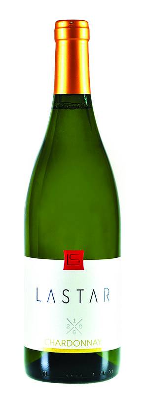 degustacija lastar chardonnay 2016 vinski magazin vino fino