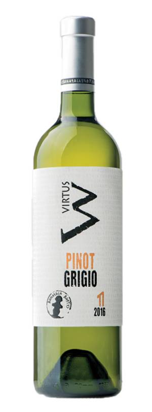 degustacija pinot grigio 2017 vinski magazin vino fino