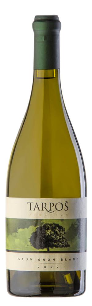 degustacija sauvignon blanc 2023 vinski magazin vino fino