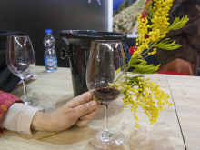 novost završen je 11 beowine vinski magazin vino fino