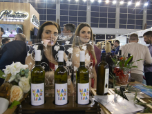 novost završen je 11 beowine vinski magazin vino fino