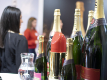 novost završen je 11 beowine vinski magazin vino fino