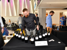 novost prokupac je ponovo osvojio vinsku srbiju vinski magazin vino fino