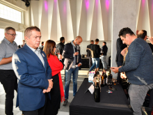 novost prokupac je ponovo osvojio vinsku srbiju vinski magazin vino fino