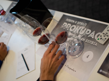 novost prokupac je ponovo osvojio vinsku srbiju vinski magazin vino fino