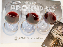 novost prokupac je ponovo osvojio vinsku srbiju vinski magazin vino fino