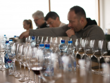 novost prokupac je ponovo osvojio vinsku srbiju vinski magazin vino fino