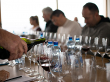 novost prokupac je ponovo osvojio vinsku srbiju vinski magazin vino fino