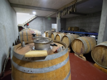 novost prokupac je ponovo osvojio vinsku srbiju vinski magazin vino fino