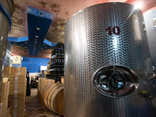 novost prokupac je ponovo osvojio vinsku srbiju vinski magazin vino fino