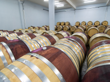 novost prokupac je ponovo osvojio vinsku srbiju vinski magazin vino fino