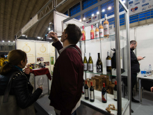novost nova lica i nova vina vinski magazin vino fino