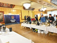 novost praznik vina u novom sadu vinski magazin vino fino