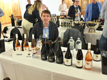 novost praznik vina u novom sadu vinski magazin vino fino