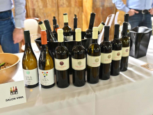 novost praznik vina u novom sadu vinski magazin vino fino