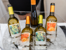 novost salon vina u znaku mimoza vinski magazin vino fino