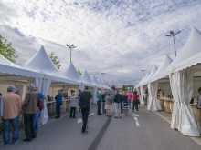 novost Čista desetka za prvi zrenjaninski festival vina vinski magazin vino fino