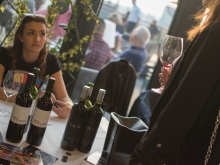 novost vinsko bogatstvo srbije na jednom mestu vinski magazin vino fino
