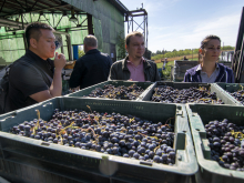novost rame uz rame sa svetskim regionima vinski magazin vino fino