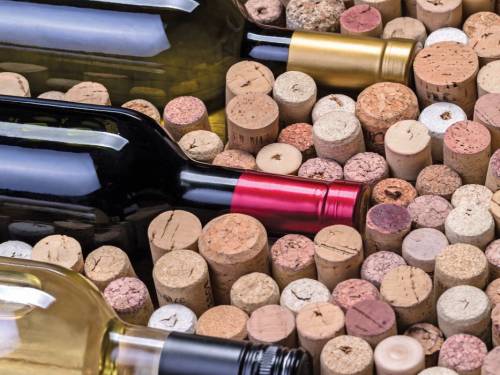 novost 12 best buy srpskih vina vinski magazin vino fino