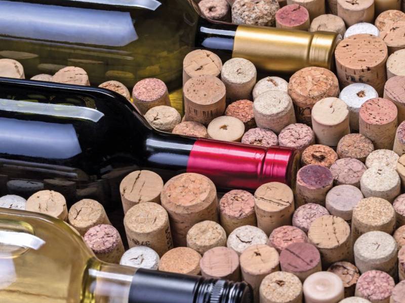 novost 12 best buy srpskih vina vinski magazin vino fino