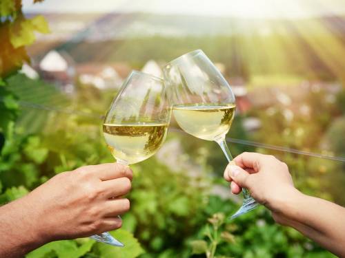 novost 40 vinarija dolazi na festival grašca u novom sadu vinski magazin vino fino