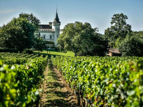 novost albarinjo i marselan u vinima iz bordoa vinski magazin vino fino