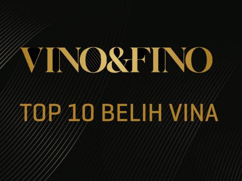 novost bela vina godine vinski magazin vino fino