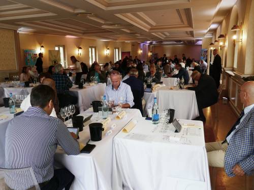 novost bergamo voli srpska vina vinski magazin vino fino