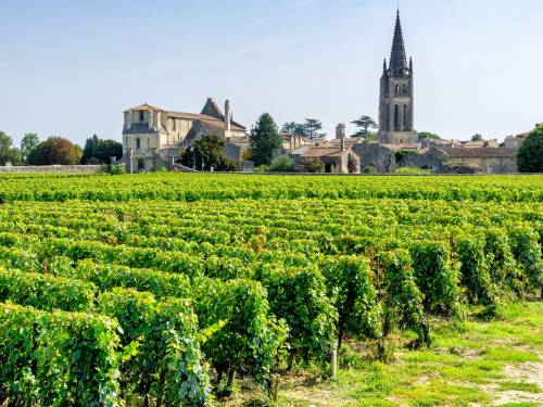 novost bordo 2022 Žega i suša vinski magazin vino fino