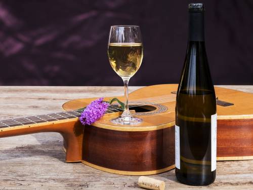 novost da li izlaganje muzici čini vino boljim vinski magazin vino fino
