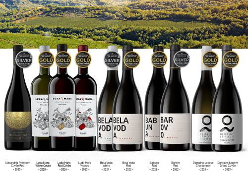 novost deset medalja za tikveš na mundus vini vinski magazin vino fino