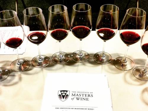 novost deset novih nosilaca titule master of wine vinski magazin vino fino