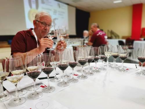 novost dva trofeja i 31 zlato za srbiju na 12 biwc-u vinski magazin vino fino