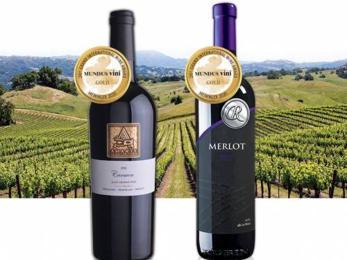 novost dva zlata za srpski rubin vinski magazin vino fino