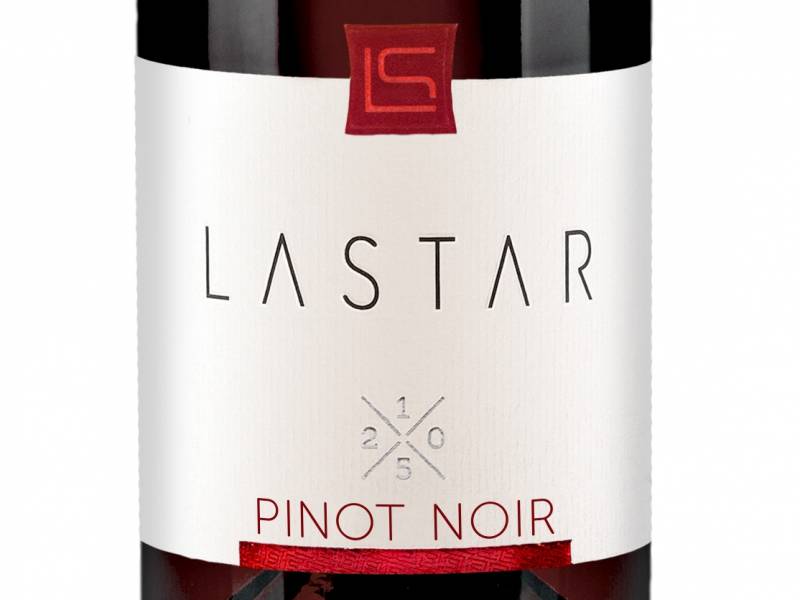 novost dve srebrne medalje za pinot noir iz lastara vinski magazin vino fino