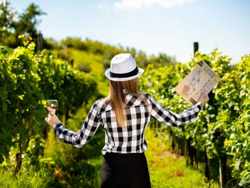 novost fruška walk wine 2023savršen dan za ljubitelje prirode i vina vinski magazin vino fino