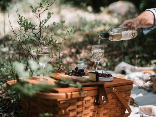 novost gastro pregled beograd ponovo živi vinski magazin vino fino