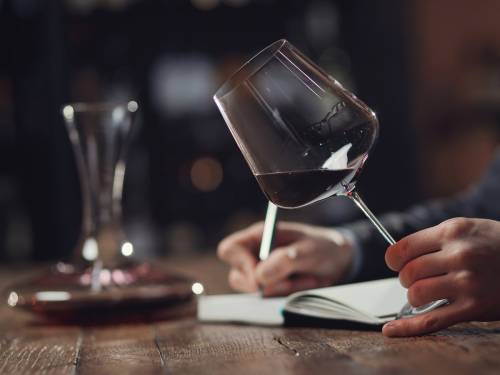 novost govor o vinu vinski magazin vino fino