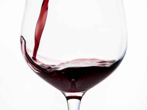 novost i mi konja za trku imamo vinski magazin vino fino