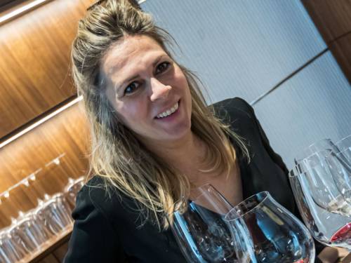 novost interesuju nas samo najbolja vina vinski magazin vino fino