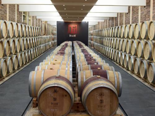 novost iskrena vina sa naše zemlje vinski magazin vino fino