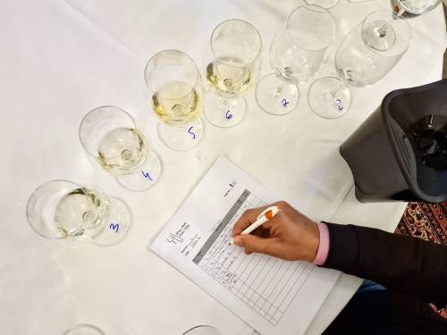 novost izabrana najbolja vina banata za 2023 vinski magazin vino fino