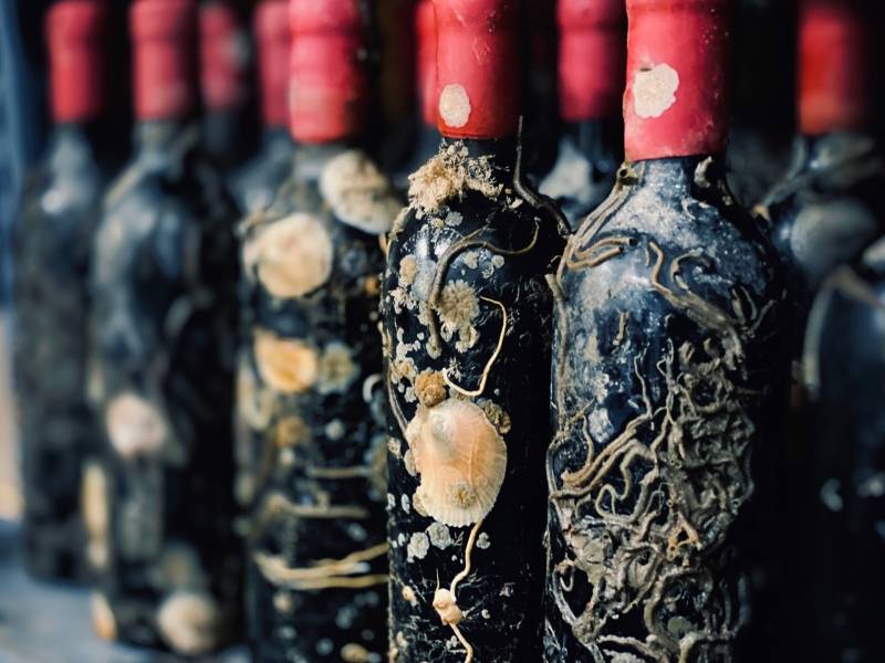 novost kalifornijski vinari osuđeni zbog dozrevanja vina u moru vinski magazin vino fino