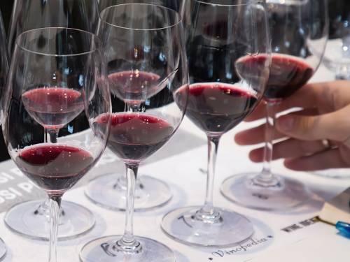 novost karavan prokupca prolazi kroz srbiju vinski magazin vino fino