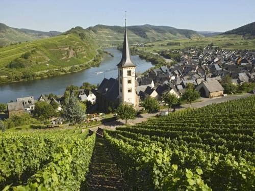 novost klimatske promene od nemačke prave vinsku velesilu vinski magazin vino fino