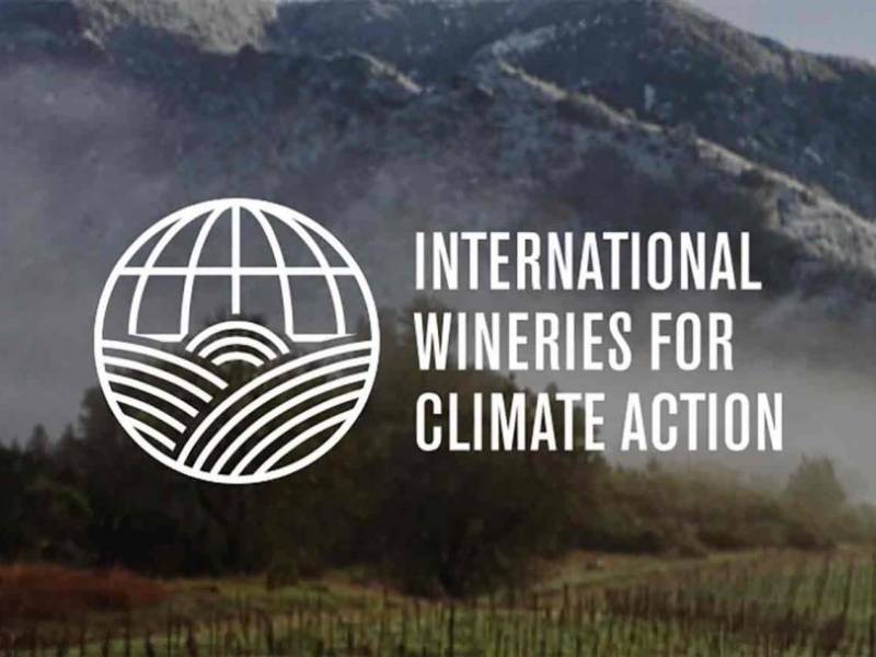 novost klimatske promene su opasnije nego filoksera vinski magazin vino fino
